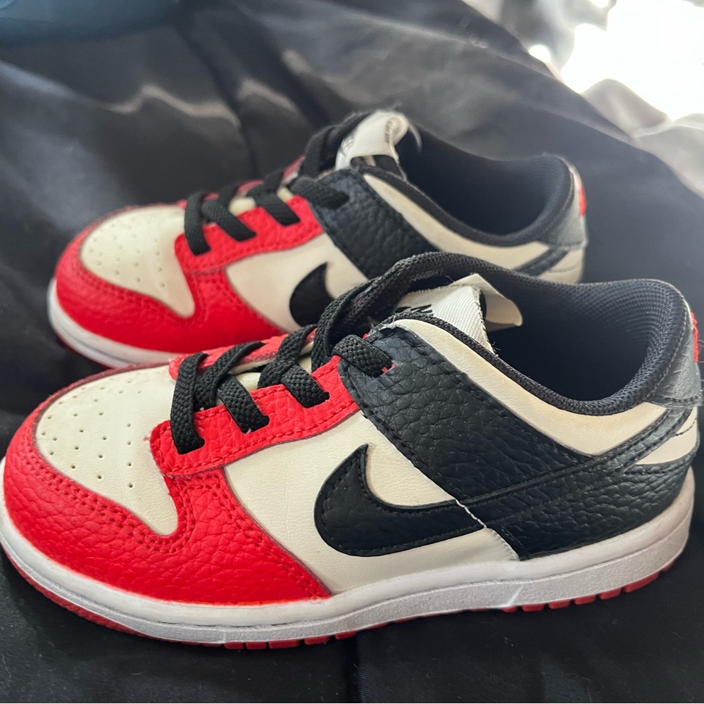 Nike Dunk Low 75th anniversary Chicago